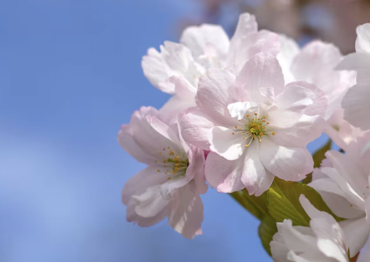Giờ sinh Âm lịch của người dễ làm nên chuyện lớn khiến gia tộc nở mày nở mặt - Ảnh 2.