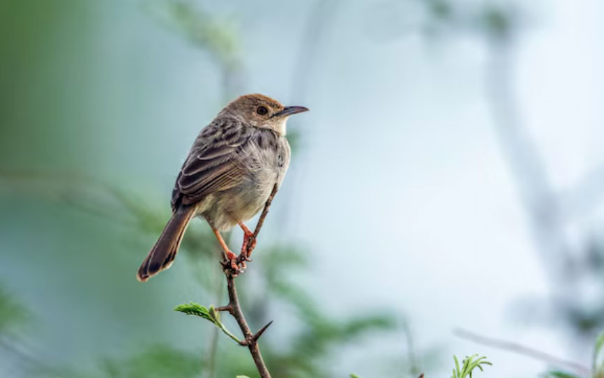 4 tháng Âm lịch sinh ra những người có khí chất hơn người, hiếm khi nghèo lâu - Ảnh 3.