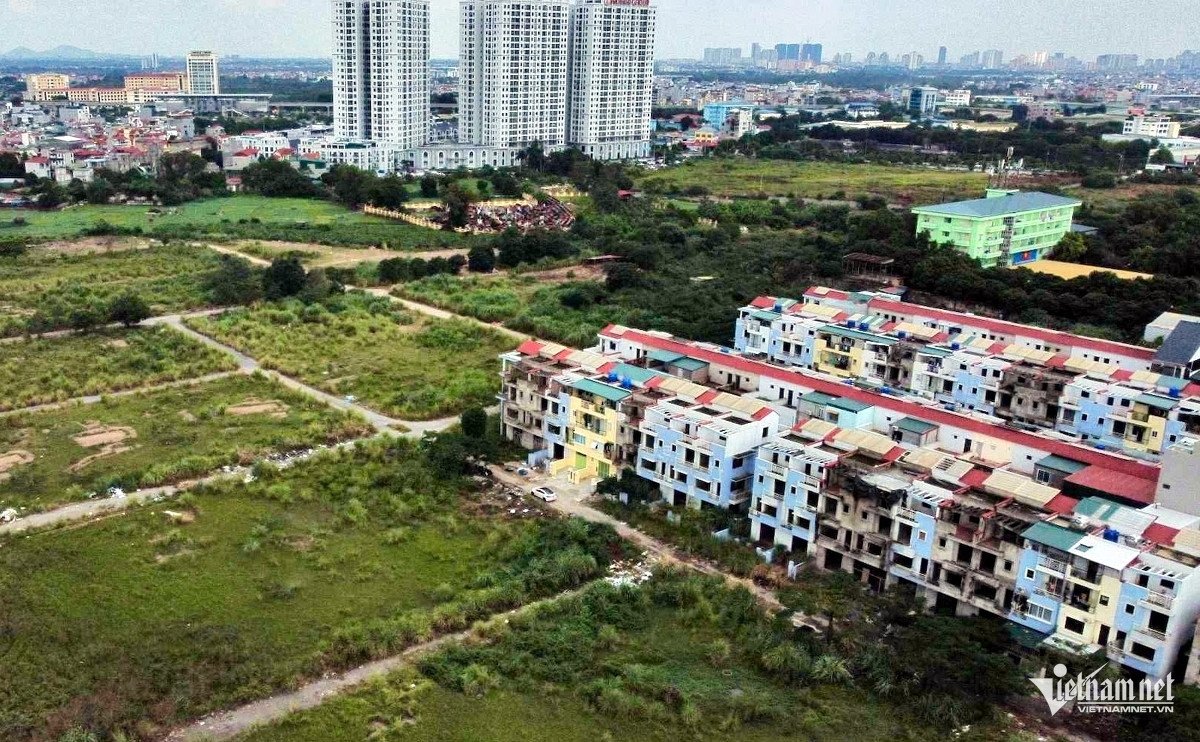 W-w dat dai vietnamnet 31561.jpg