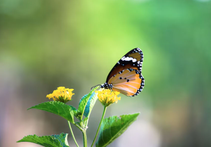 2 con số 'vàng' trong năm sinh: Ai sở hữu dễ gặp quý nhân, sự nghiệp lên như diều gặp gió - Ảnh 2.