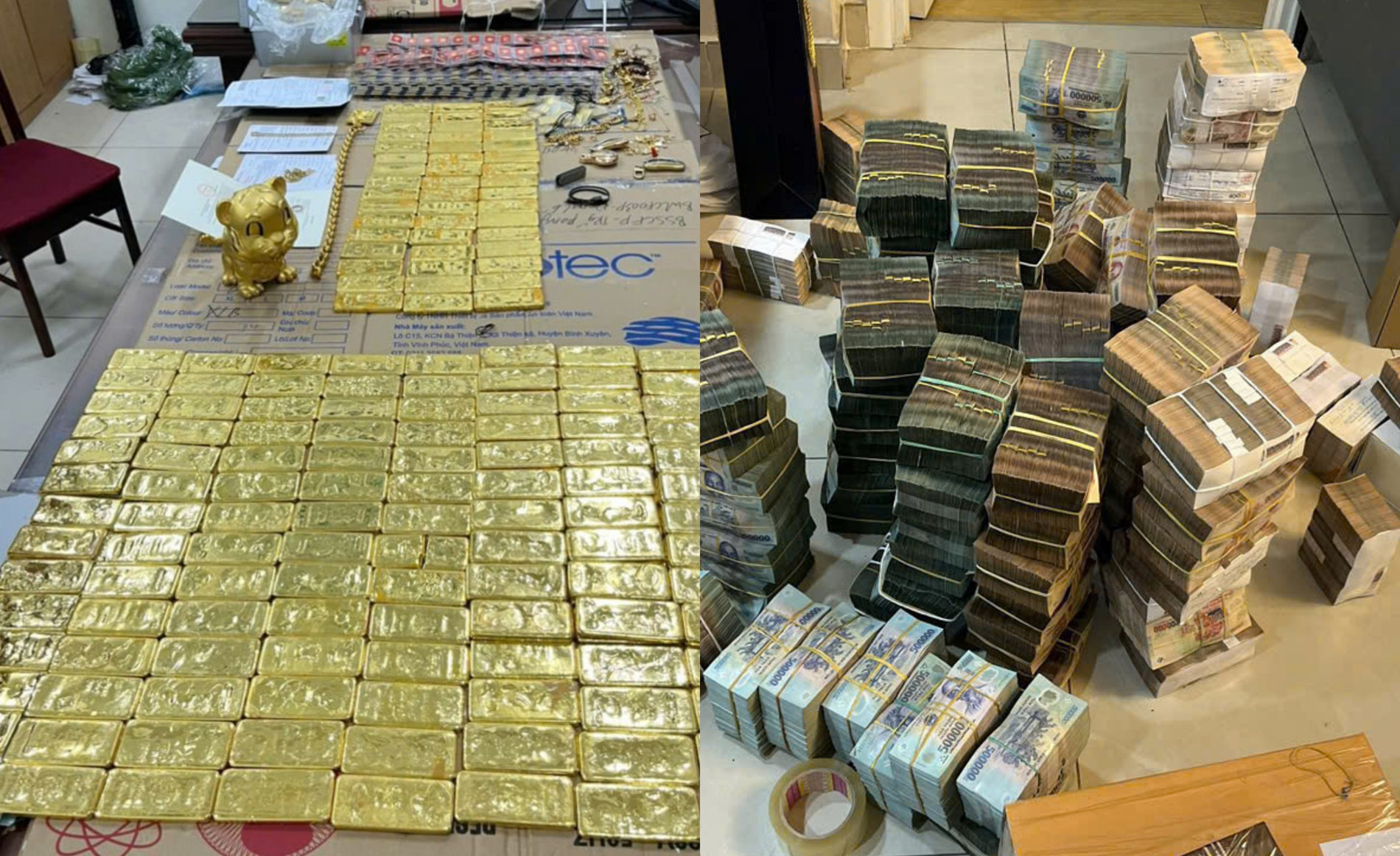 mr pips  17738219234231540856899.jpg