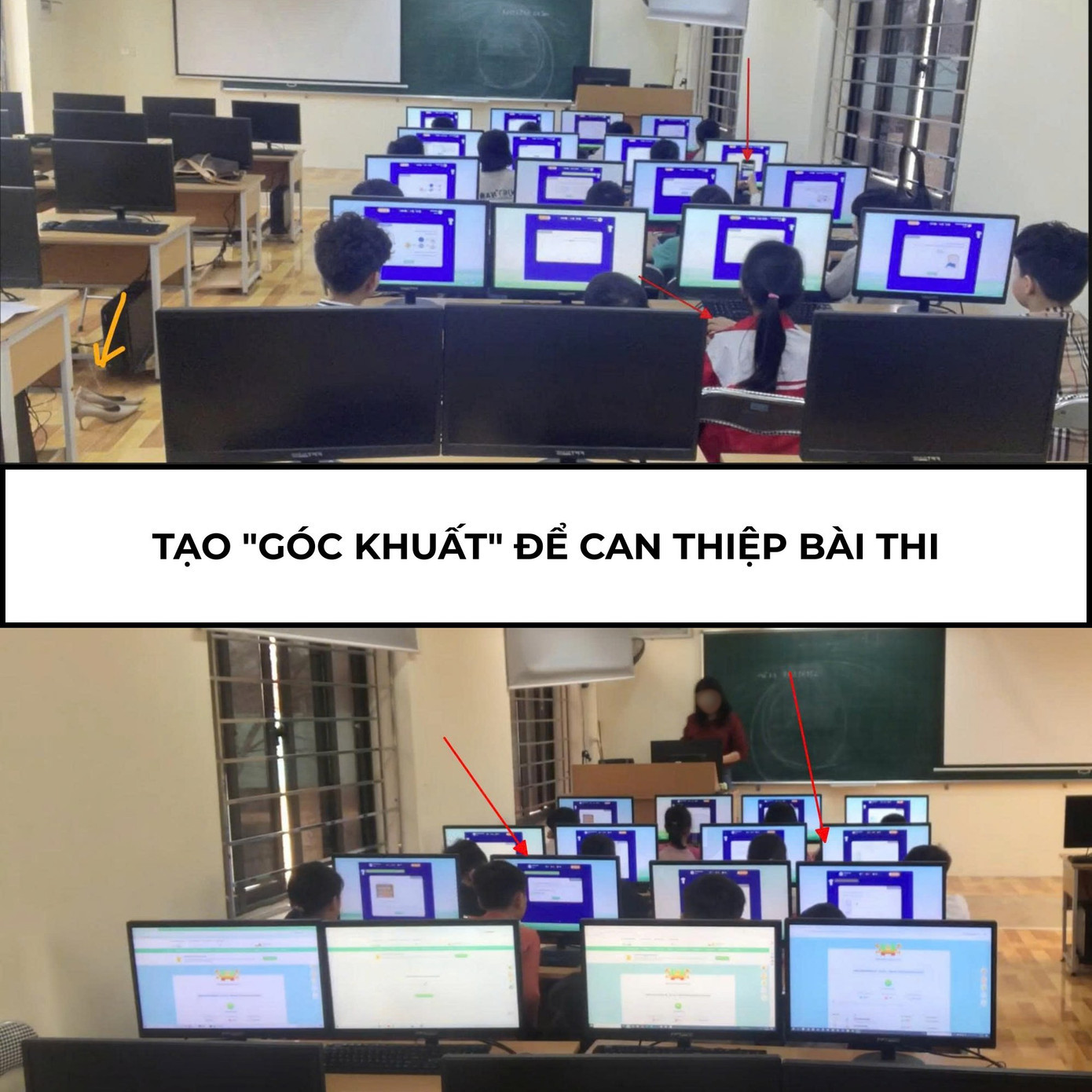 tao-goc.jpg