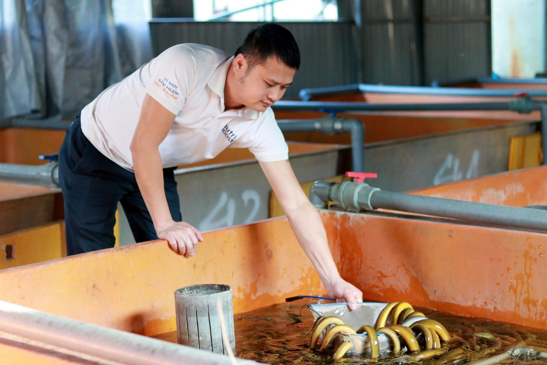 a nuôi lươn6.jpg