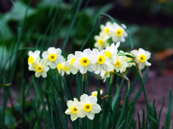 Đúng hôm nay, thứ 2 ngày 2/3/2026, 3 con giáp gặp thời gặp thế, tiền vàng 'chất thành núi', Phú Quý Vinh Hoa không ai sánh bằng  - Ảnh 1