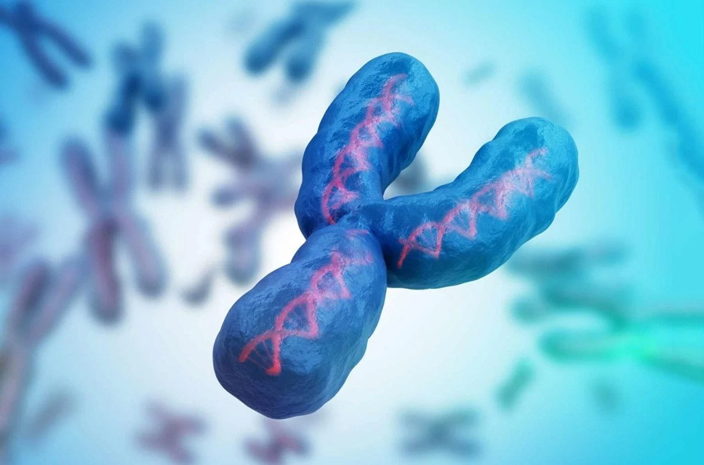 Nam giới đang mất dần nhiễm sắc thể Y - Ảnh 1.