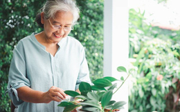 Có tiền đừng quá tiết kiệm: 3 thứ nên đầu tư để tuổi già không khổ, không phiền con cháu - Ảnh 3.