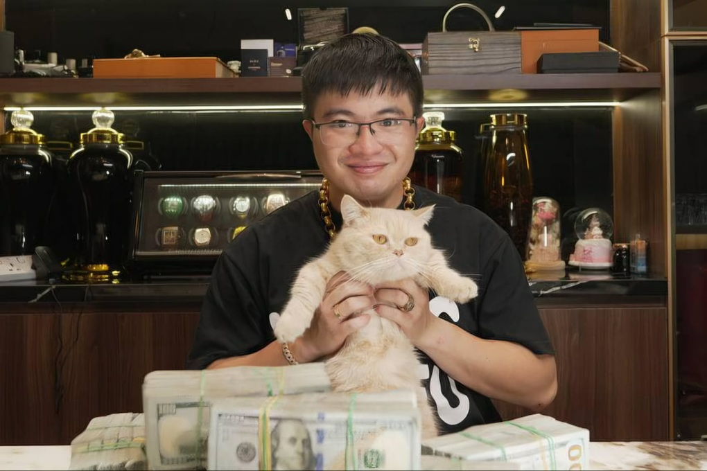 Toàn bộ quá trình xây dựng