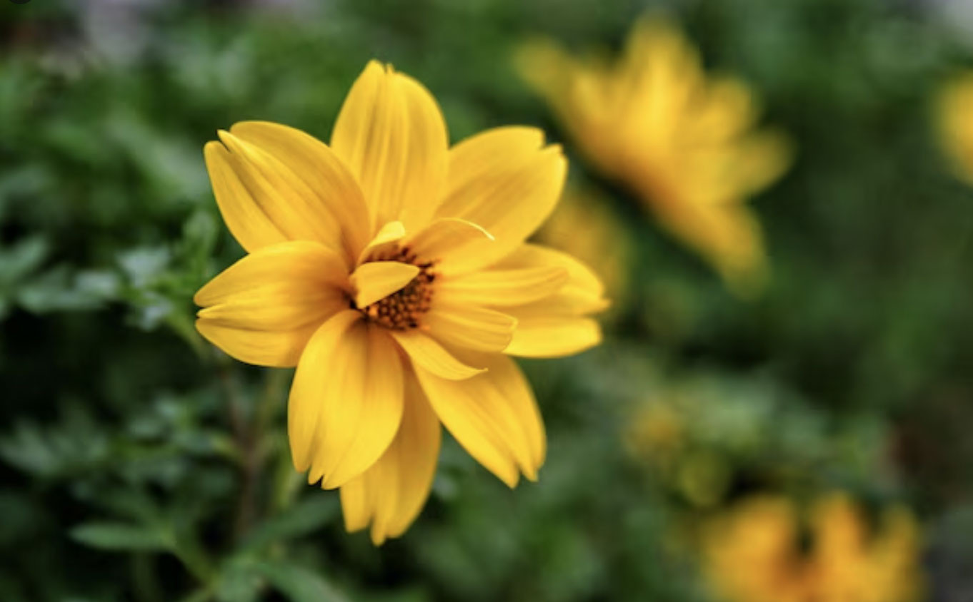 Ba khung giờ sinh 'giàu muộn': Càng qua tuổi 40 càng nhiều tiền - Ảnh 2.