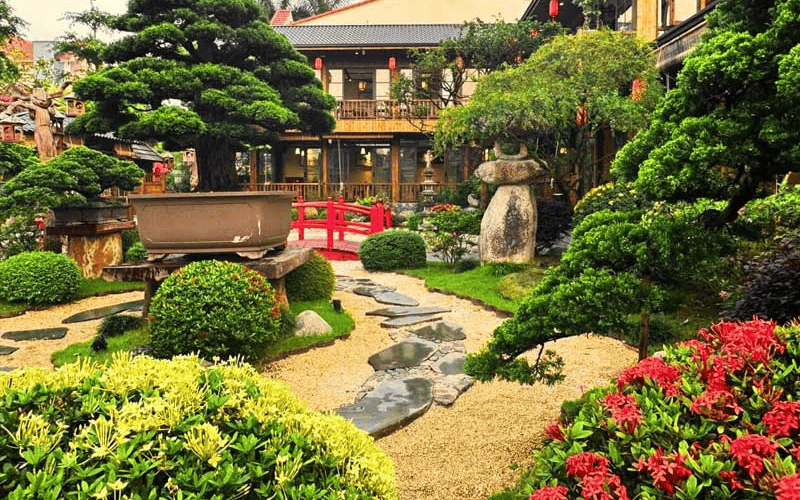 Để loại cây cảnh này trong bếp vừa giúp không gian bếp có thêm sinh khí, vừa hút tài lộc - Ảnh 5.