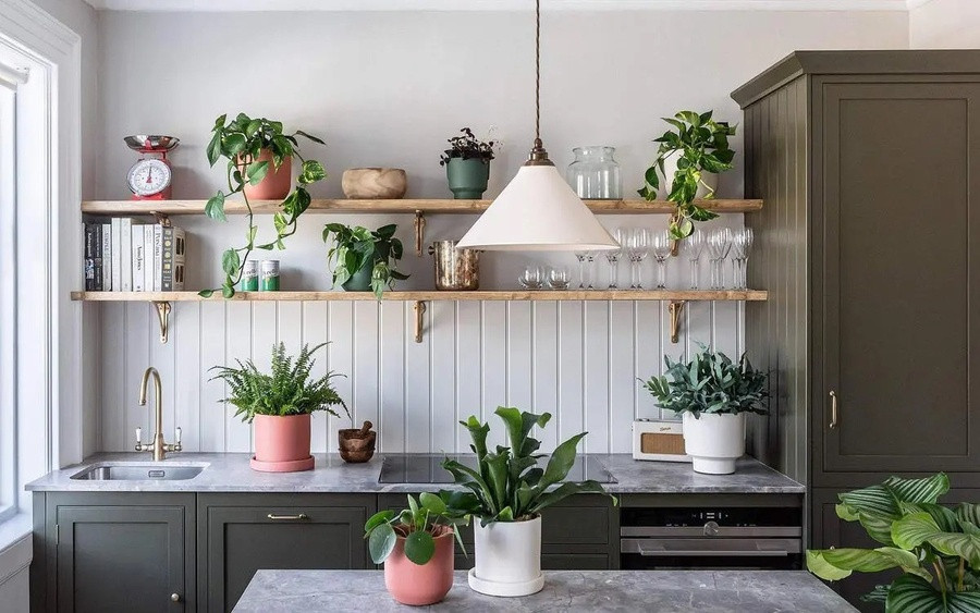 Để loại cây cảnh này trong bếp vừa giúp không gian bếp có thêm sinh khí, vừa hút tài lộc - Ảnh 4.