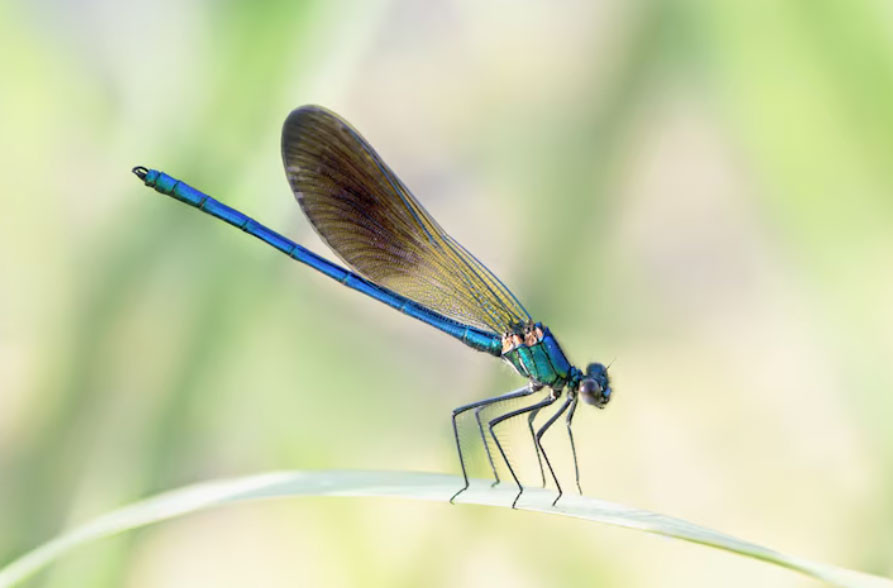 3 khung giờ sinh Âm lịch mang theo phúc khí: Trẻ lớn lên bình an, cuộc đời suôn sẻ hơn người - Ảnh 3.