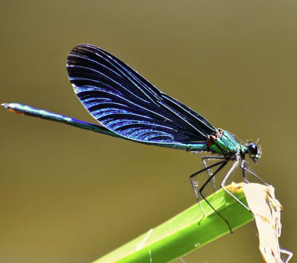 3 khung giờ sinh Âm lịch mang theo phúc khí: Trẻ lớn lên bình an, cuộc đời suôn sẻ hơn người - Ảnh 1.