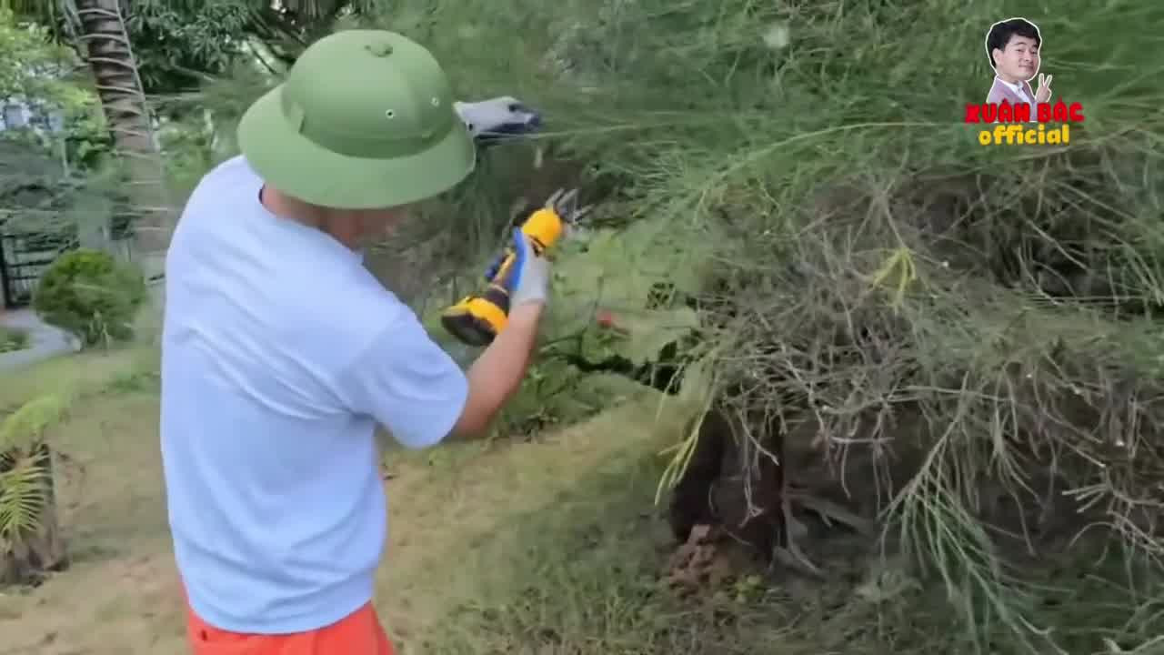 Sở thích làm vườn của Cục trưởng Xuân Bắc tại biệt phủ ngọai ô Hưng Yên - Ảnh 4.