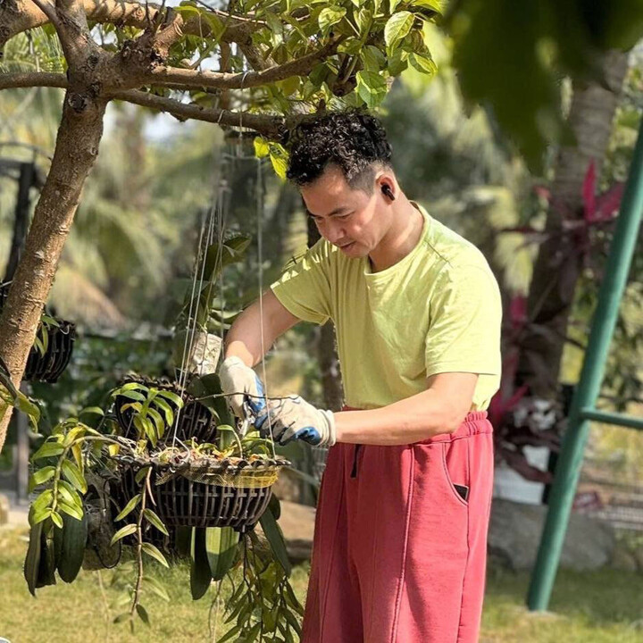 Sở thích làm vườn của Cục trưởng Xuân Bắc tại biệt phủ ngọai ô Hưng Yên - Ảnh 3.