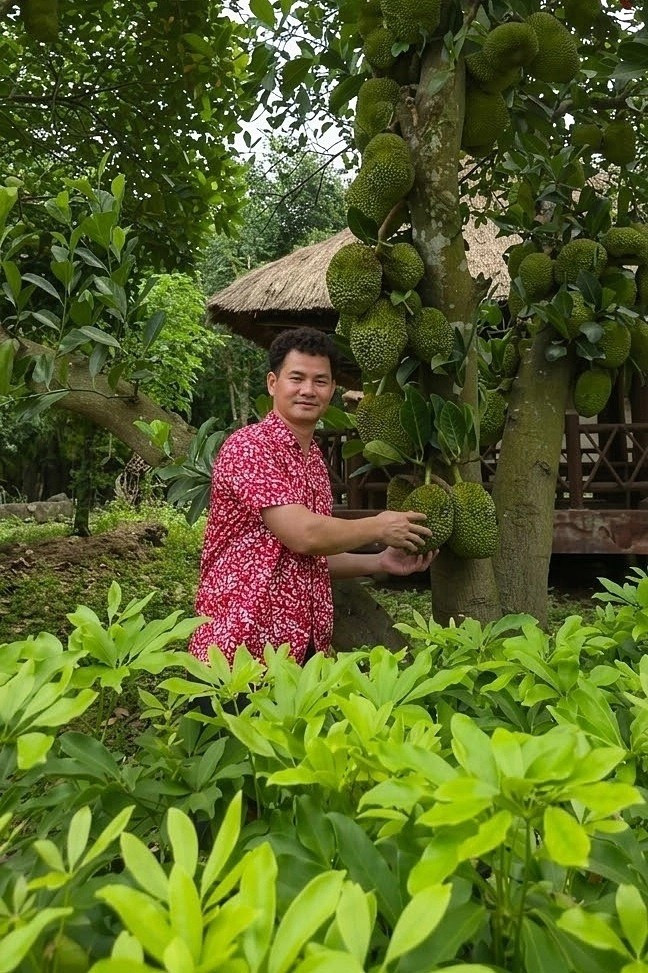 Sở thích làm vườn của Cục trưởng Xuân Bắc tại biệt phủ ngọai ô Hưng Yên - Ảnh 2.