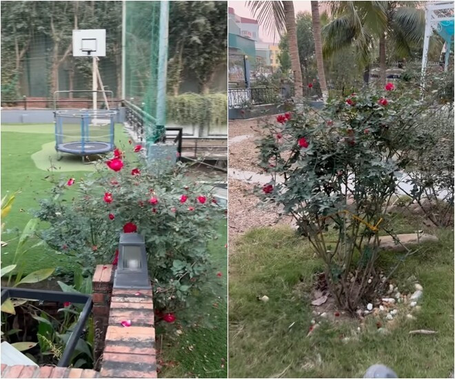 Sở thích làm vườn của Cục trưởng Xuân Bắc tại biệt phủ ngọai ô Hưng Yên - Ảnh 24.