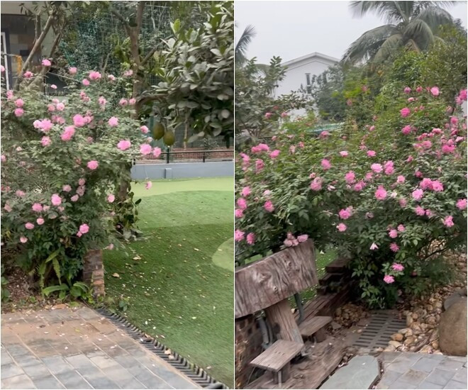 Sở thích làm vườn của Cục trưởng Xuân Bắc tại biệt phủ ngọai ô Hưng Yên - Ảnh 21.