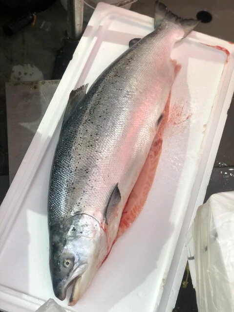 4 loại thực phẩm rẻ tiền giúp nuôi dưỡng trái tim, tăng tuổi thọ - Ảnh 3.