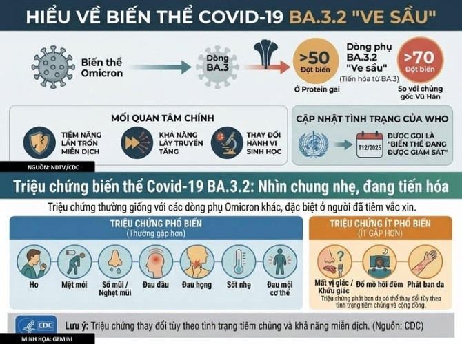 Biến thể 've sầu' của Covid-19 có gì đáng lo hơn chủng cũ? (Nguồn: CDC Hà Nội)