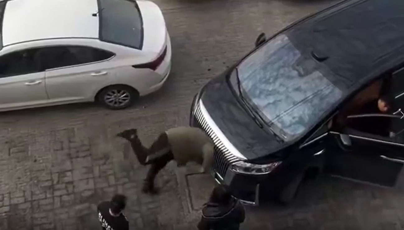 Tranh cãi, người đàn ông điên cuồng lao vào đầu xe ô tô- Ảnh 1.