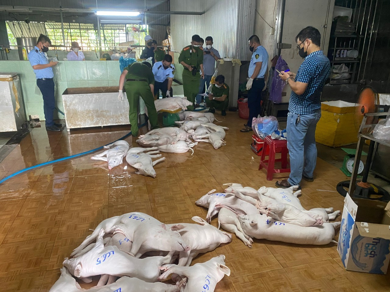 Vụ thịt lợn dịch vào bếp ăn: Nói thẳng về trách nhiệm của ngành nông nghiệp插图1 st02-5929a.jpg