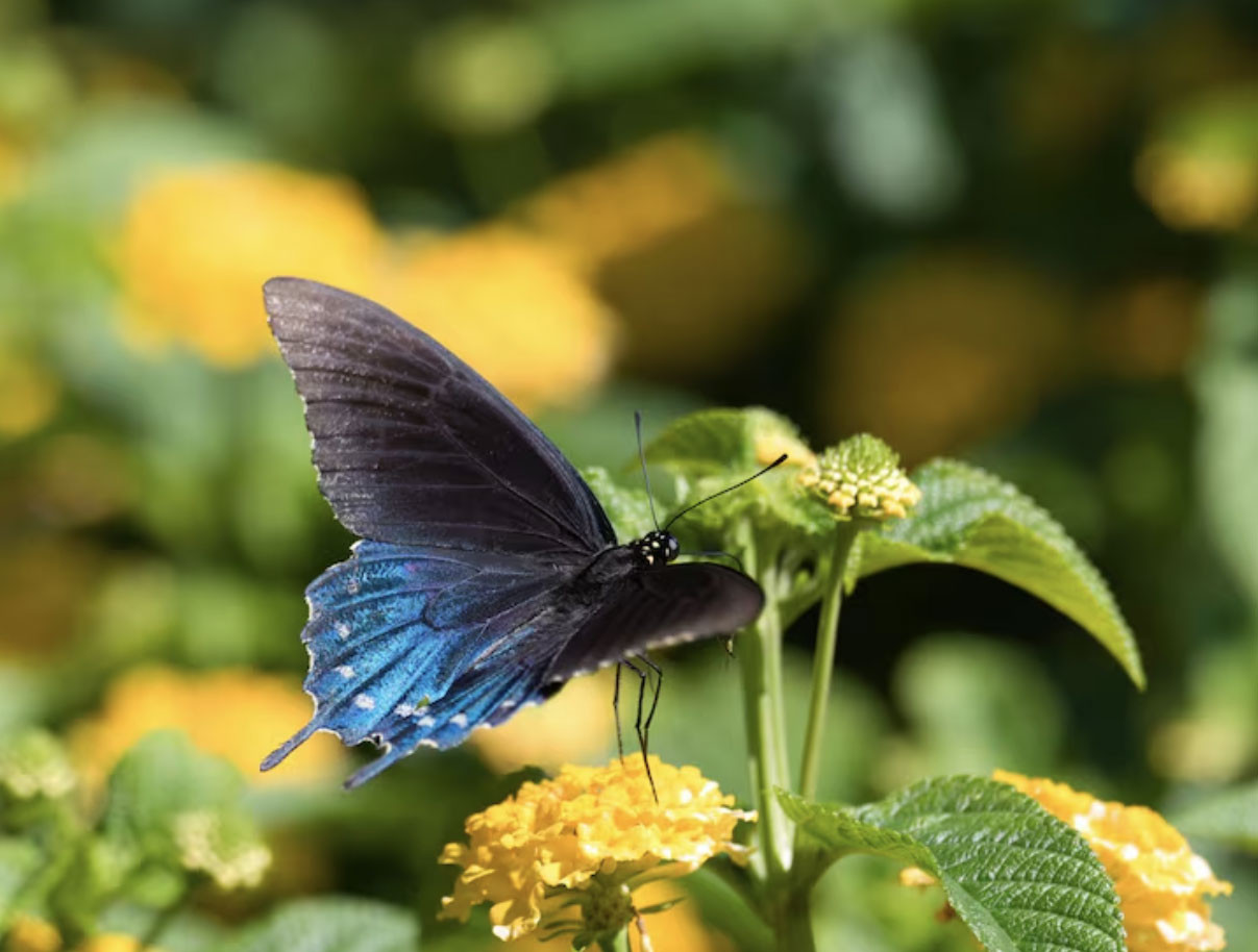 4 khung giờ sinh Âm lịch báo hiệu cuộc đời đủ đầy, về già được hưởng lộc con cháu - Ảnh 4.