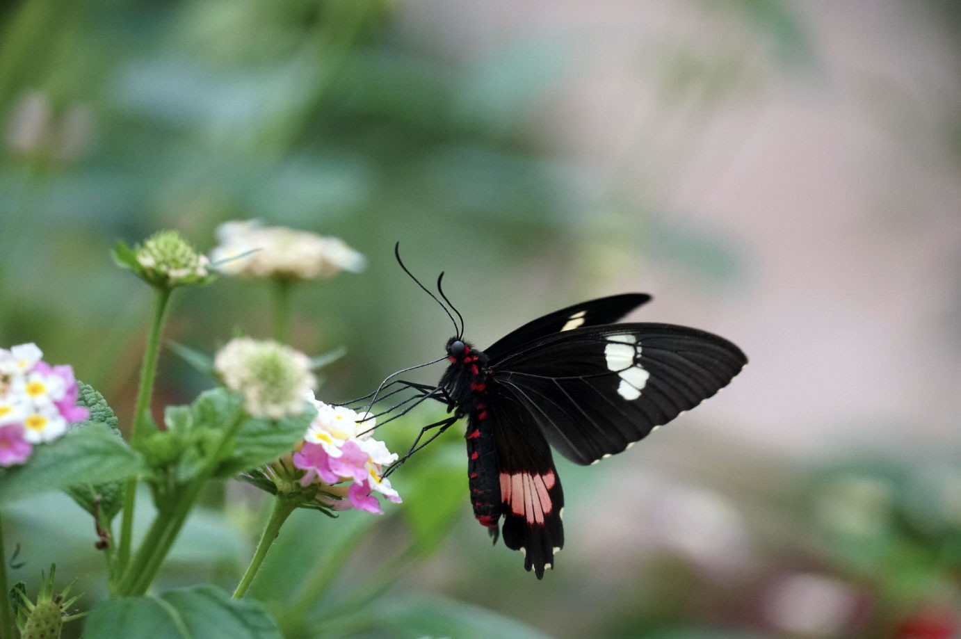 4 khung giờ sinh Âm lịch báo hiệu cuộc đời đủ đầy, về già được hưởng lộc con cháu - Ảnh 1.