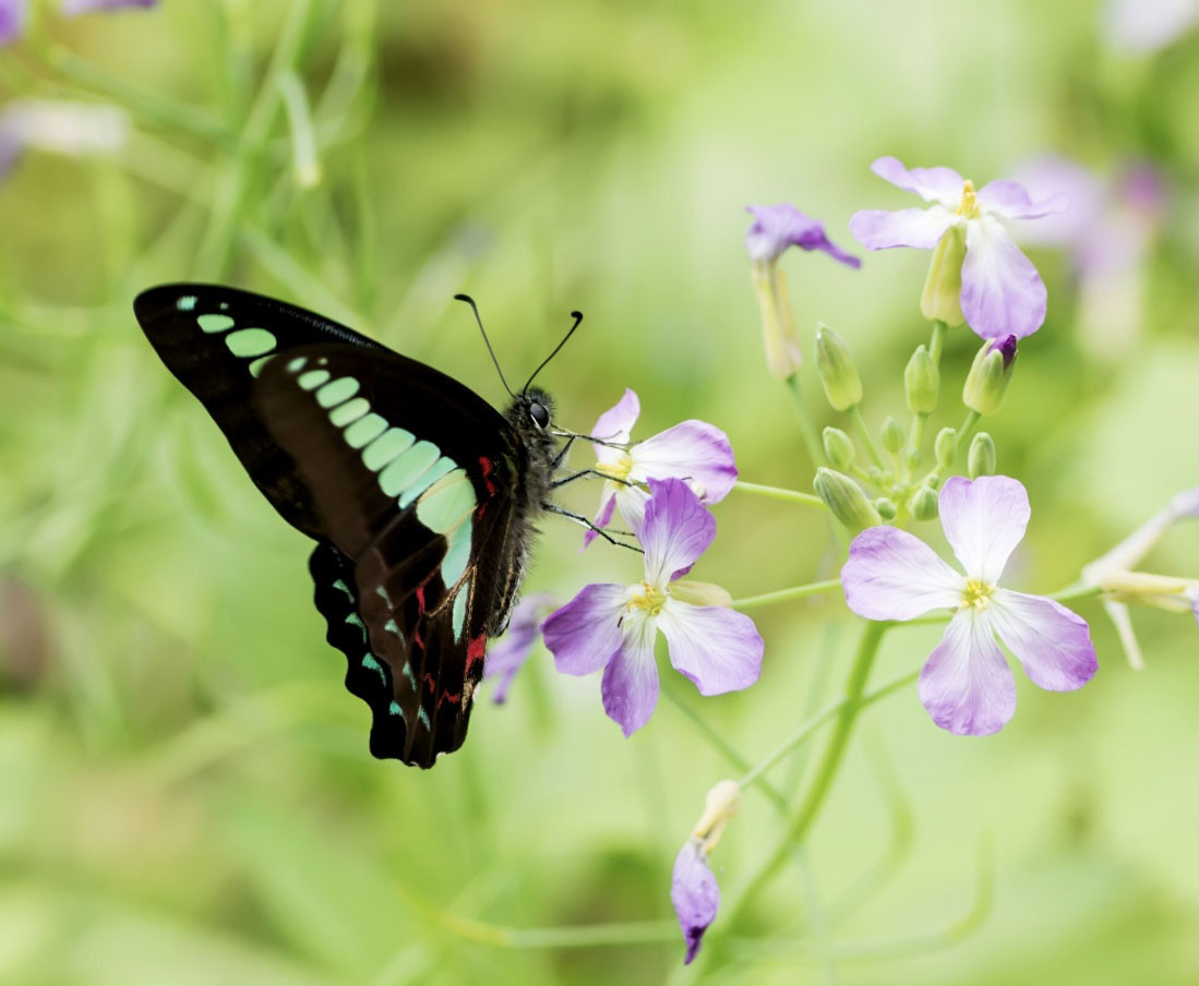4 khung giờ sinh Âm lịch báo hiệu cuộc đời đủ đầy, về già được hưởng lộc con cháu - Ảnh 2.