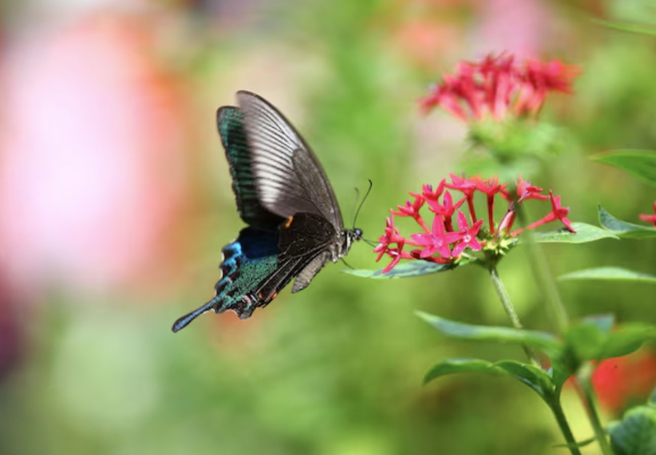 4 khung giờ sinh Âm lịch báo hiệu cuộc đời đủ đầy, về già được hưởng lộc con cháu - Ảnh 3.