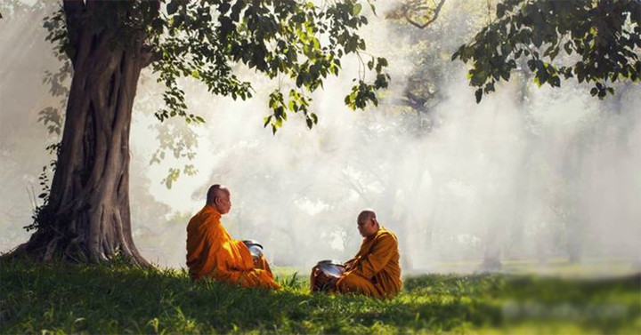 Một chiếc lá sâu có thể rơi xuống, nhưng điều đó không làm cây bồ đề mất đi bóng mát. Trái lại, nó nhắc nhở rằng cây cần được chăm sóc cẩn trọng hơn.