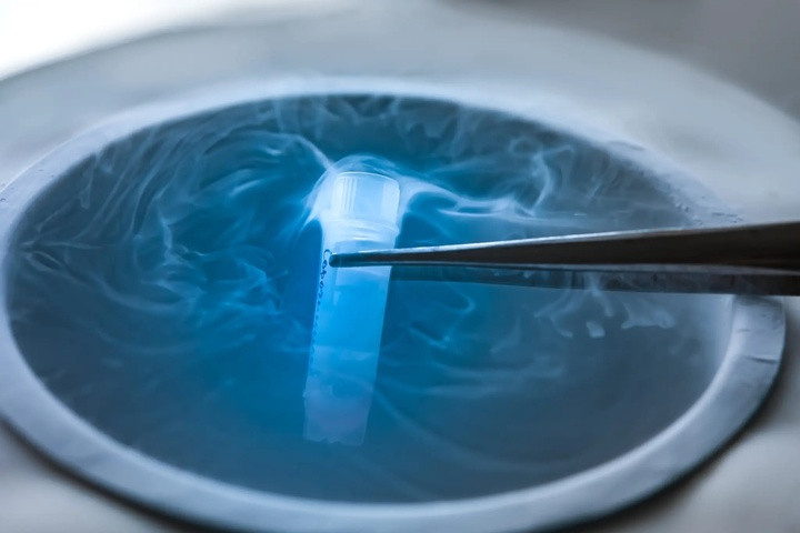 Độ tuổi trung bình của phụ nữ trữ đông trứng đã giảm từ 37 xuống 35. (Ảnh: AdobeStock)