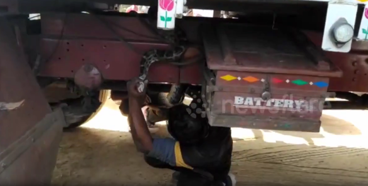 Nhìn xuống gầm xe, người đàn ông bủn rủn chân tay phát hiện cảnh tượng