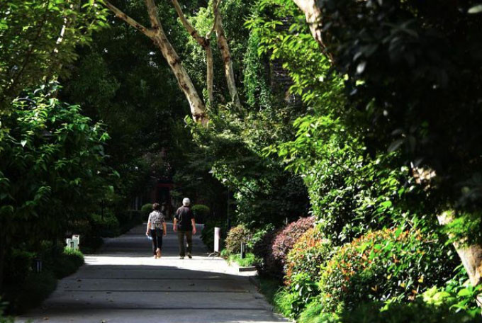 Lương hưu 38 triệu/tháng nhưng tuổi già vẫn khổ sở: 3 thay đổi giúp tôi sống nhẹ nhõm hơn - Ảnh 1.