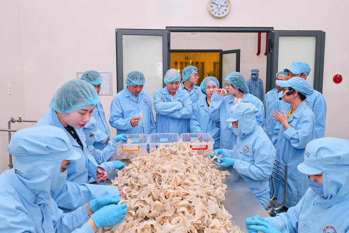 Nguyên liệu đầu vào trải qua đợt tăng giá mạnh từ đầu năm 2025 và tiếp tục tăng trong năm 2026 trước áp lực chi phí vận chuyển tăng mạnh.