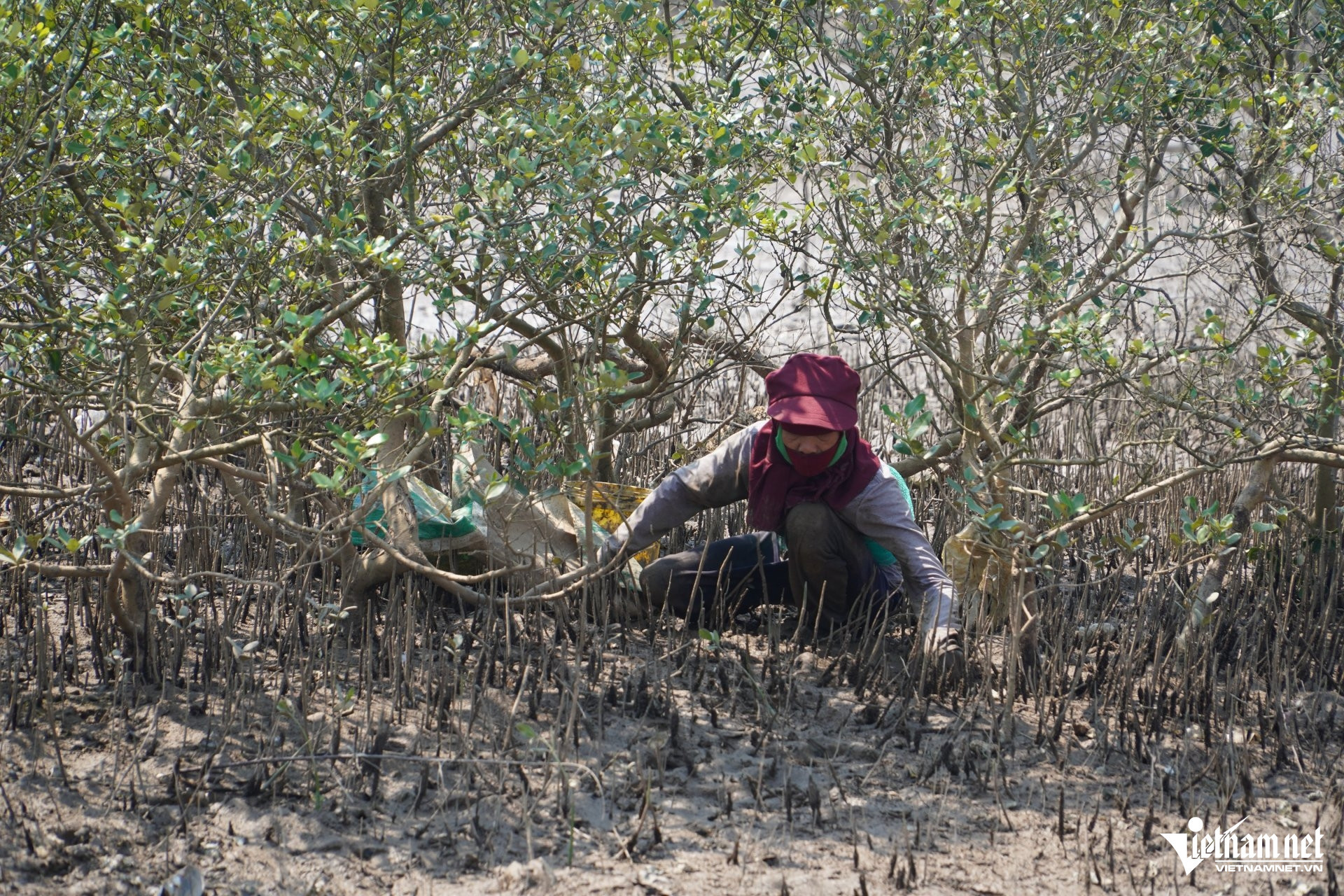 W-a phụ nữ 17.JPG.jpg