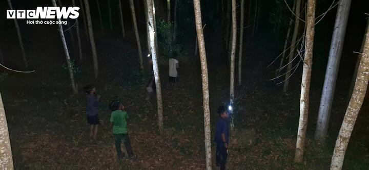 Không chỉ người lao động chính mà cả trẻ em, phụ nữ... cũng rủ nhau vào rừng săn ve sầu. (Ảnh: Thái Bình)