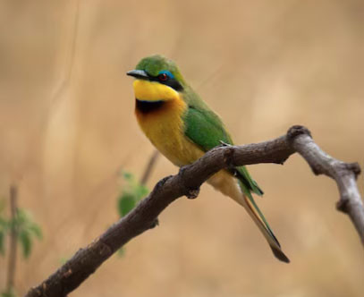 am lich 2 1776245120772603521864.jpg