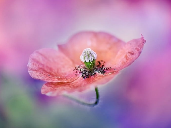 Bước qua tháng 3 âm lịch, 3 con giáp gặp dữ hóa lành, vươn tới giàu sang, suôn sẻ đủ đường, ngồi mát đếm tiền - Ảnh 3