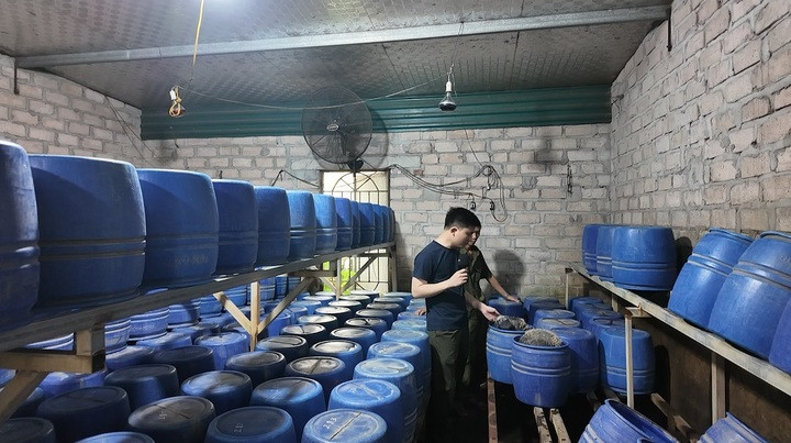 Cơ quan chức năng kiểm tra bên trong xưởng sản xuất giá đỗ trái phép có sử dụng chất cấm tại phường Mạo Khê.