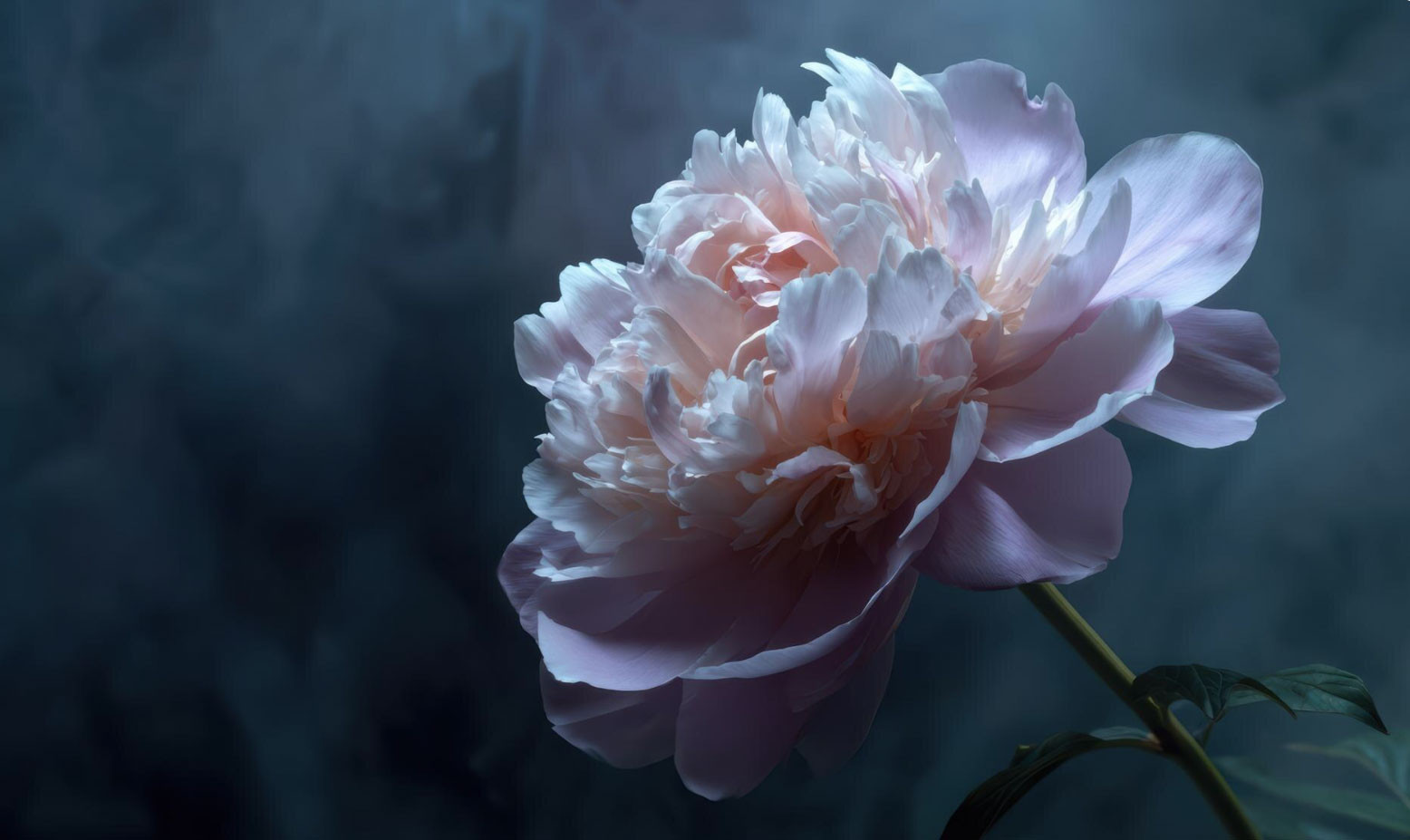 Ngày sinh Âm lịch 'hưởng lộc': Tiền bạc dư dả, cuộc sống điền viên đáng mơ ước - Ảnh 3.