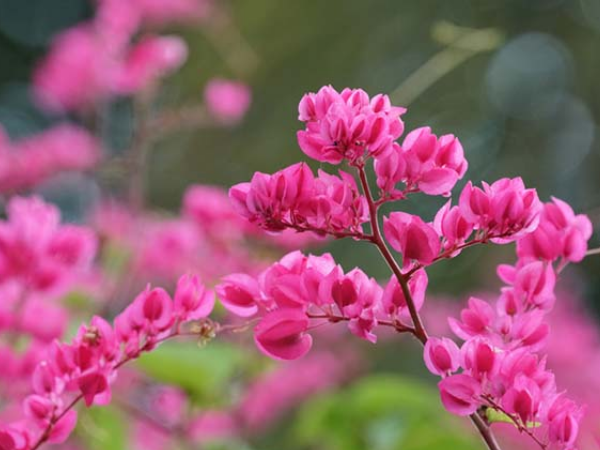 3 con giáp ‘ĂN LỘC THÁNH MẪU’ giàu số 2 không ai số 1, bước vào thời kỳ đại vận, no nê tài lộc trong tuần mới (6 đến 12/4/2026) - Ảnh 3