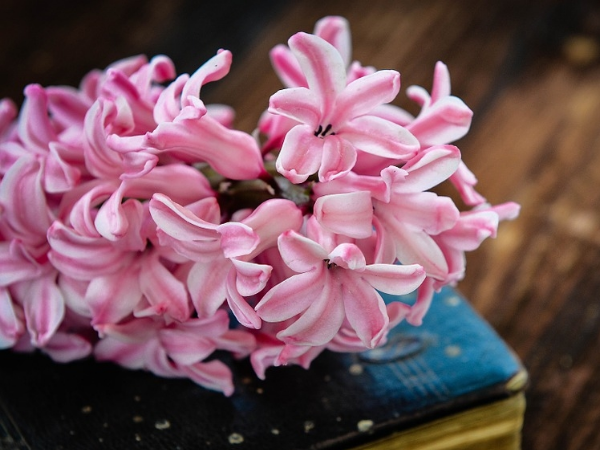 3 con giáp ‘ĂN LỘC THÁNH MẪU’ giàu số 2 không ai số 1, bước vào thời kỳ đại vận, no nê tài lộc trong tuần mới (6 đến 12/4/2026)  - Ảnh 1