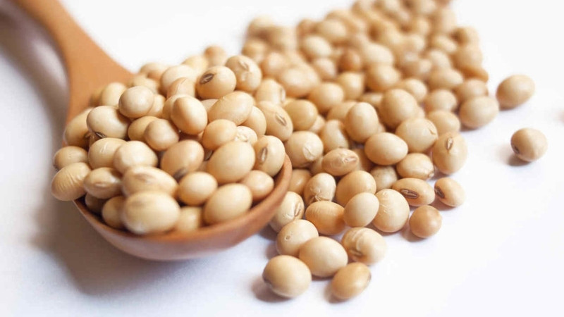 4 Lọai rau quả giàu selen giúp bảo vệ gan hiệu quả và tự nhiên - Ảnh 3.