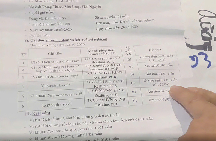 Phiếu xét nghiệm có 2 mẫu dương tính với vi khuẩn E.coli và virus dịch tả lợn châu Phi.