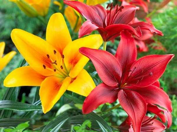 Đúng hôm nay, thứ 2 ngày 20/4/2026, 3 con giáp 'trúng quả' trời cho, sự nghiệp tăng tiến như 'ngựa phi mã', vận mệnh rực sáng không ngờ - Ảnh 2