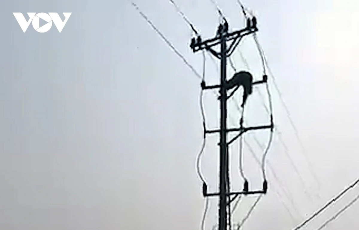 nam sinh lop 8 o nghe an tu vong do dien giat hinh anh 1