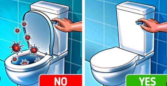 Lỗi phong thủy nhà ở khiến vận trình sa sút, nhan sắc tụt dốc không phanh - Ảnh 3.