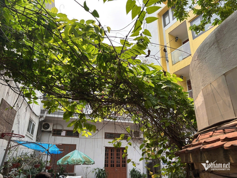 Nhớ lời mẹ, 3 anh em trai ở Hà Nội xây nhà sát vách, sống hòa thuận mấy chục năm插图1 W-anh 2.jpg