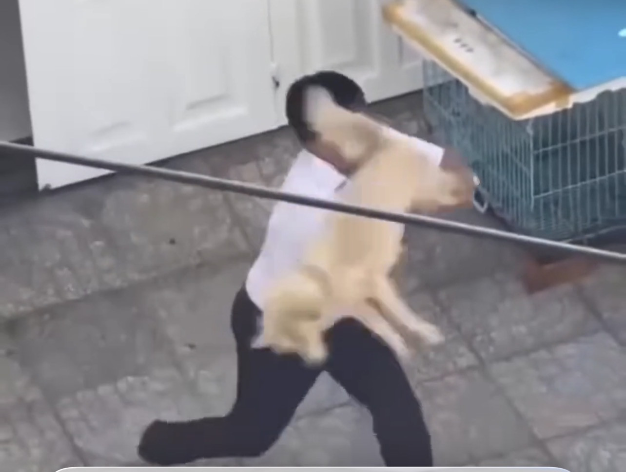 TPHCM: Xác minh clip người đàn ông gây với shipper vì bị từ chối cắt lông chó - Ảnh 1.