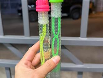 Bé gái 5 tuổi tổn thương mắt sau khi thổi bong bóng xà phòng